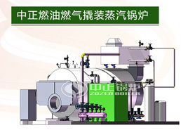 中正撬装蒸汽锅炉系统在中国的优势是显著的，并成功进入海外市场